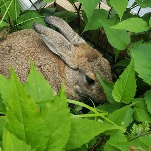 Meet your Posher, Ben
